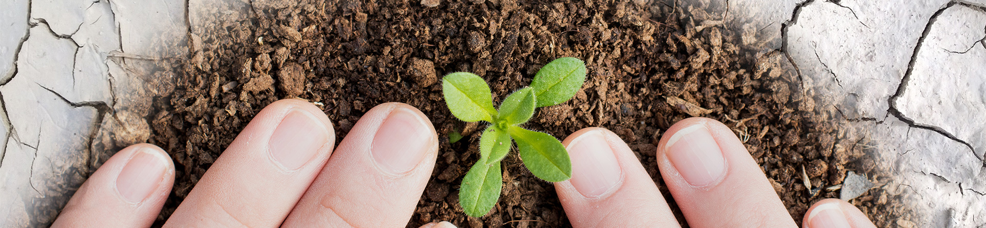 K8凯发集团(中国)公司官网